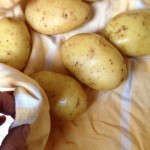 Gnocchis de pommes de terre - Bien essuyer les pommes de terre dans un torchon propre.