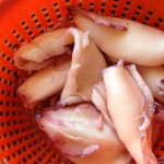 Salade de la mer à l’italienne – Calamars nettoyés.