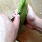 Frites de banane plantain - Inciser la peau, le long de la pliure marquée dans le sens de la longueur, à l'aide d'un couteau d'office.