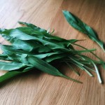 Pesto à l’ail des ours - l’ail des ours ressemble à du muguet mais avec des feuilles moins épaisses.