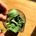 Bruschetta aux saveurs italiennes - Laver le basilic, prélever les feuilles.